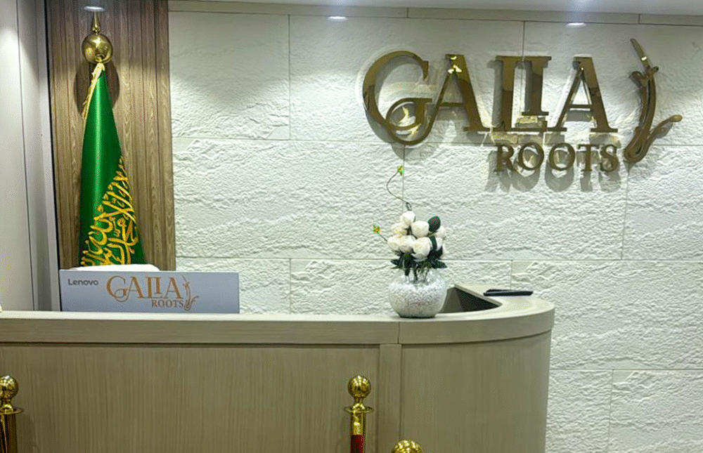 whisk df147a6a6faa04aa9d34e74c63584eacdr recovered recovered